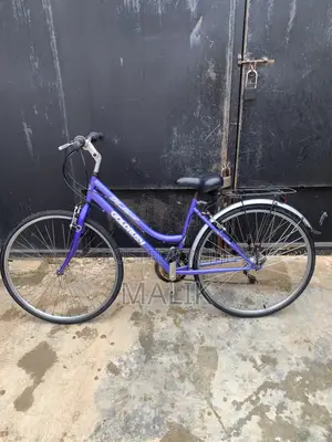 Adult Size28 Bicycle at Affordable Price