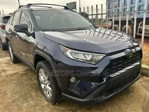 Toyota RAV4 XLE Premium AWD 2019 Blue
