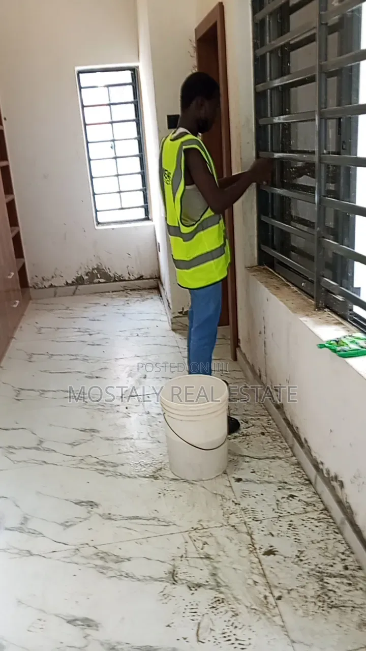 Professional Cleaning Services