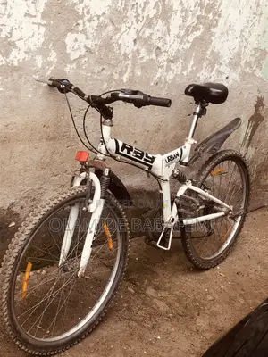 Raychell Folding Mountain Bike
