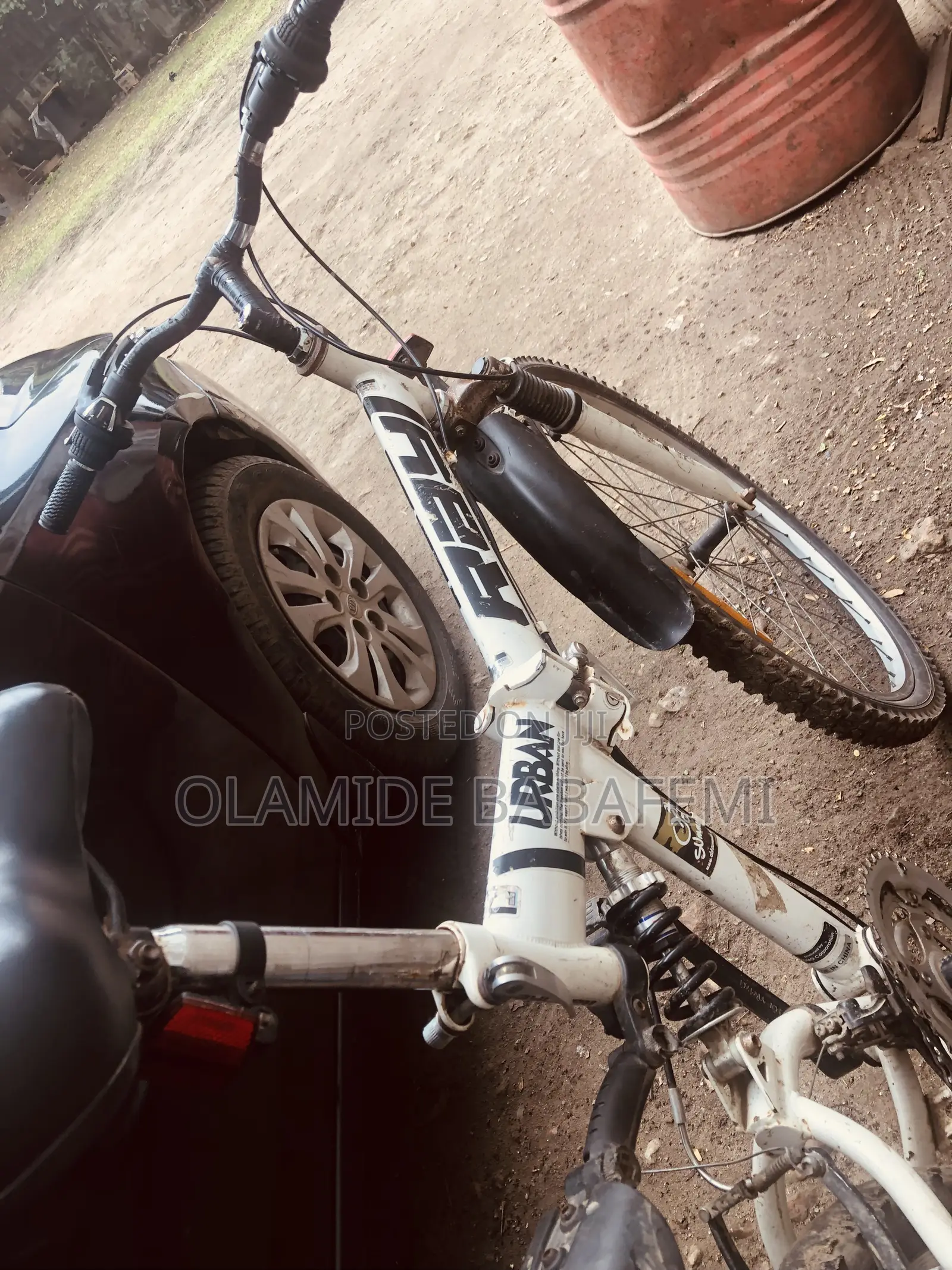 Raychell Folding Mountain Bike