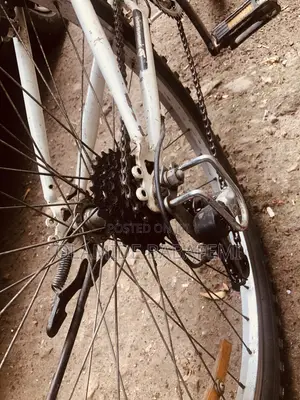 Raychell Folding Mountain Bike