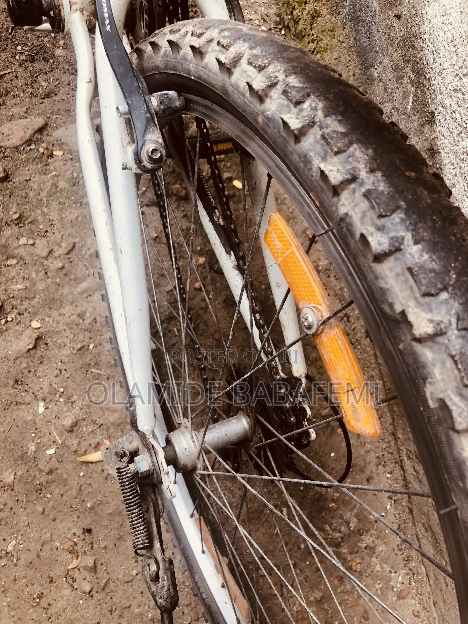 Raychell Folding Mountain Bike