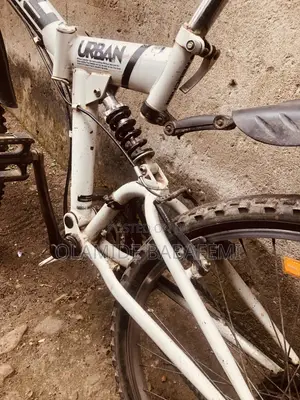 Raychell Folding Mountain Bike