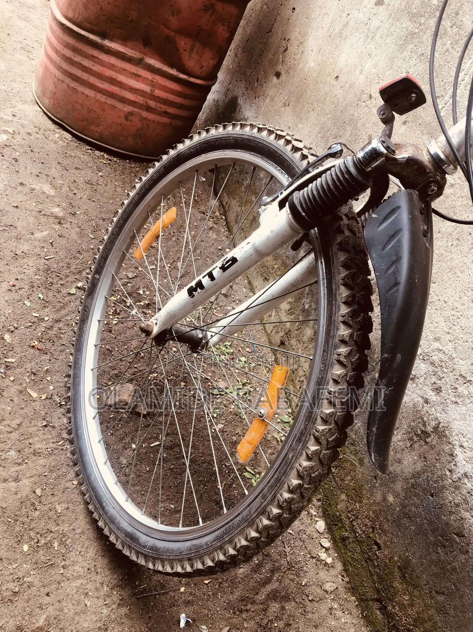 Raychell Folding Mountain Bike