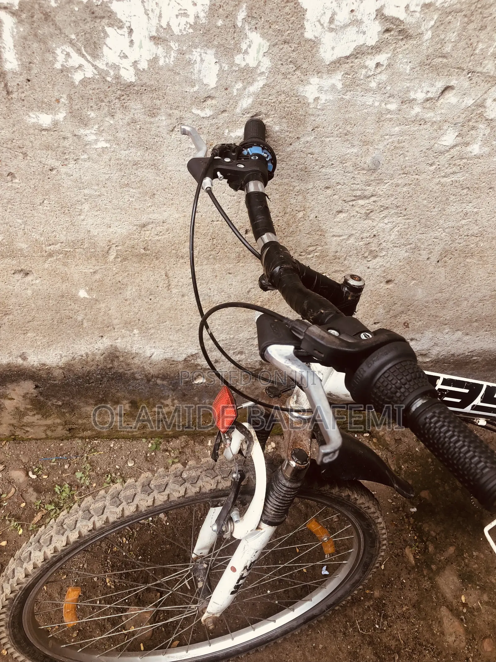 Raychell Folding Mountain Bike