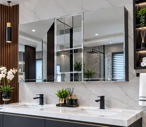 Quality Double Door Stainless Cabinet Mirror