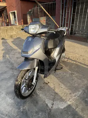 Peugeot Tweet 2021 Gray