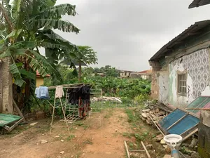 Standard Half Plot of Land