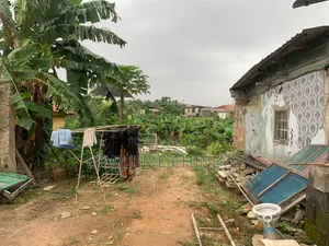 Standard Half Plot of Land