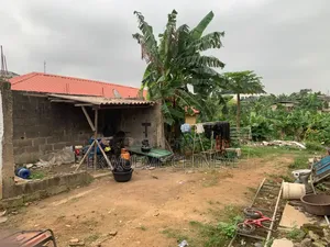 Standard Half Plot of Land