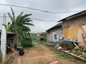 Standard Half Plot of Land