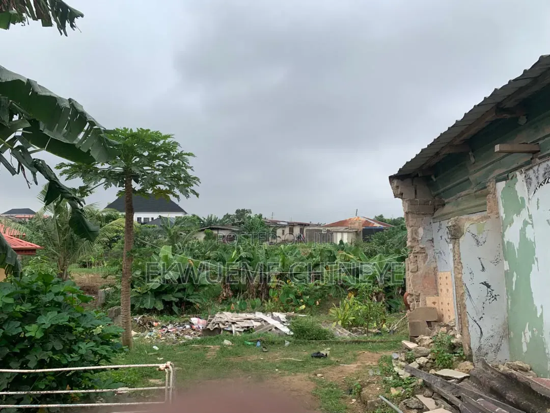 Standard Half Plot of Land
