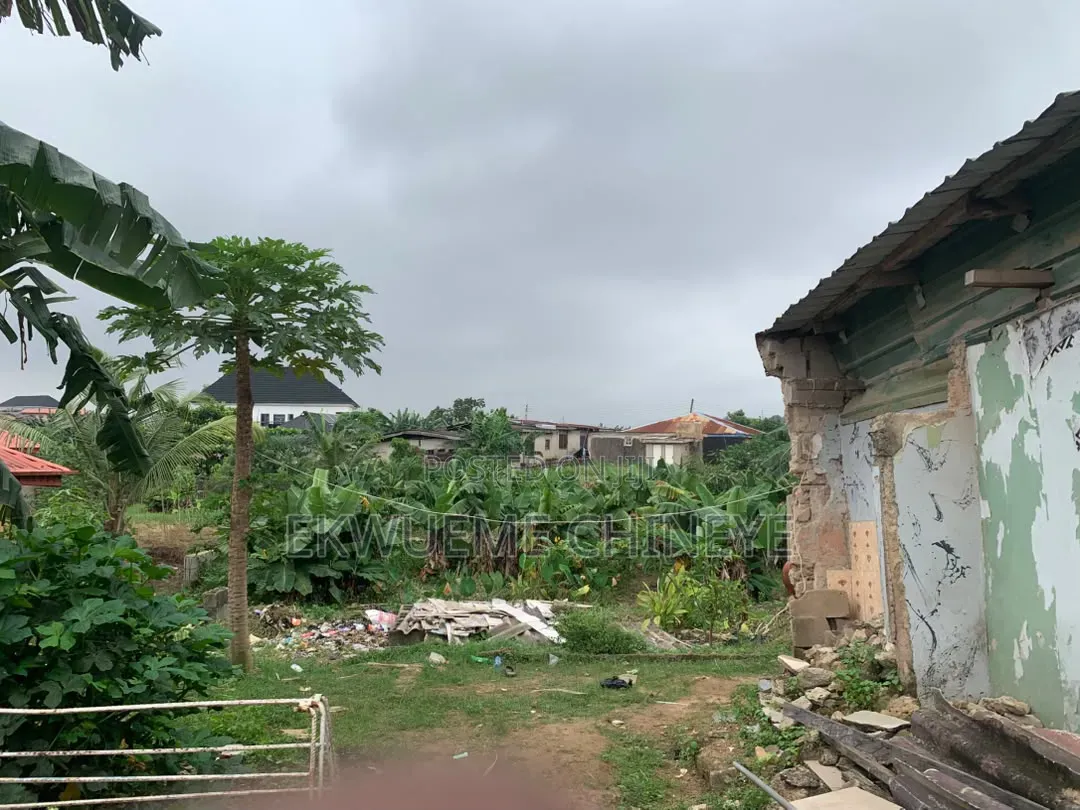 Standard Half Plot of Land