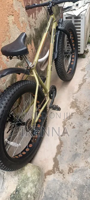 26 X 4.0 Tire Supercycle Bicycle