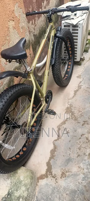 26 X 4.0 Tire Supercycle Bicycle