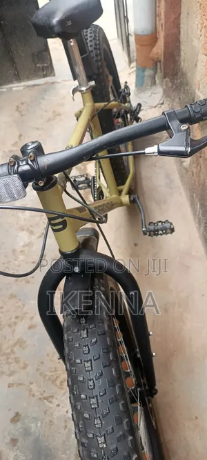 26 X 4.0 Tire Supercycle Bicycle