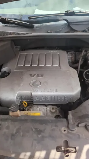 Lexus RX 2008 Brown