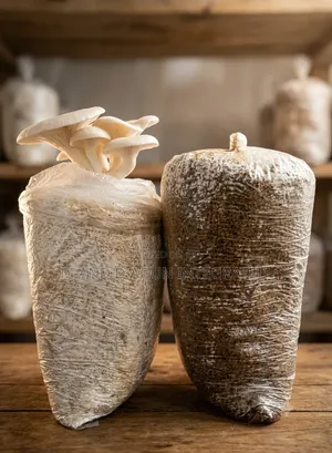 Mushroom Grow Bag