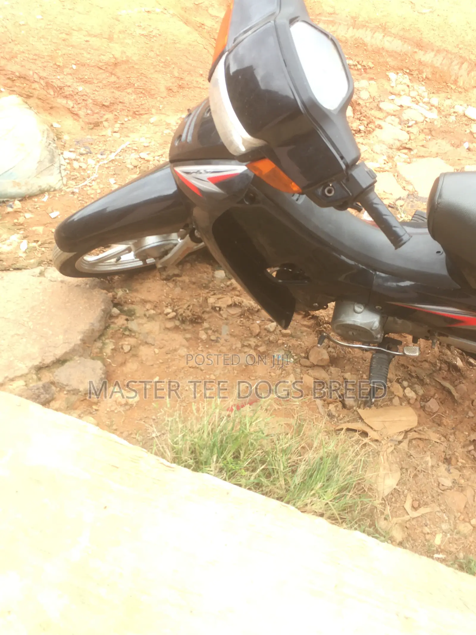 Honda 2022 Black