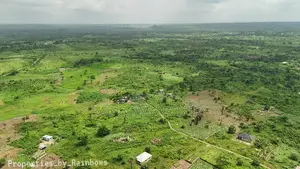 Acres of Virgin Land for Sale - Ofada/Mowe