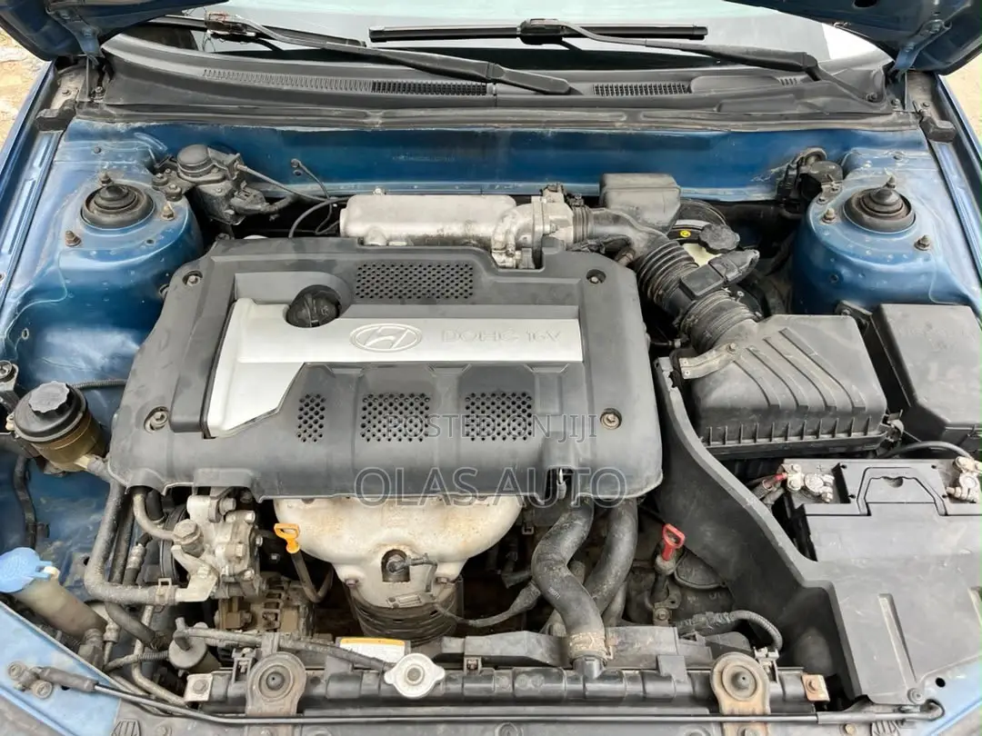 Hyundai Elantra 2006 Blue