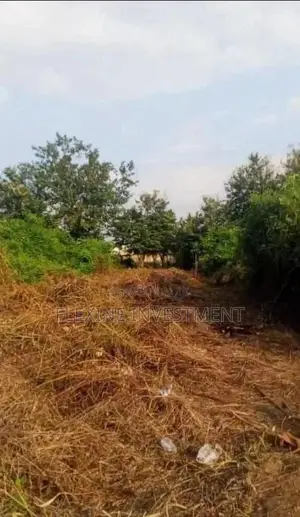 One Thousand Acres of Land for Sale at Lanlate