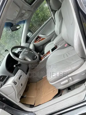 Toyota Camry 2010 Gray
