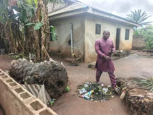 4bdrm Duplex in Ikoga, Badagry / Badagry for sale