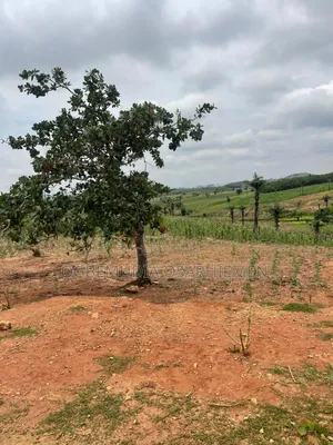 250sqm Estate Land for 4 Bedroom Semi-Detached Duplex With CofO