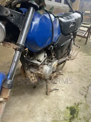 TVS HLX 125 2024 Blue