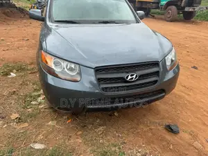 Hyundai Santa Fe 2008 Gray