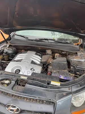 Hyundai Santa Fe 2008 Gray