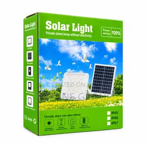 200w Solar Outdoor Light