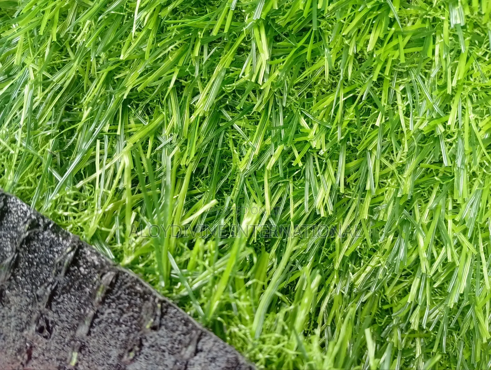 Standard Artificial Grass Carpet 25 Mm