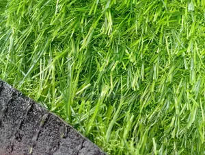 Standard Artificial Grass Carpet 25 Mm