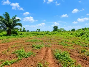 Land for Sale | Prime Location | Great Investment