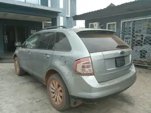 Ford Edge 2007 Gray