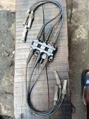 Volkswagen Routan Coil Complete