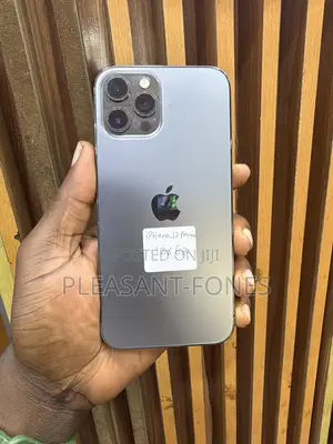 Apple iPhone 12 Pro Max 128 GB Gray