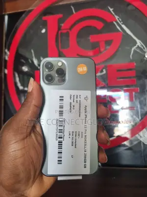 New Apple iPhone 12 Pro 256 GB Gray
