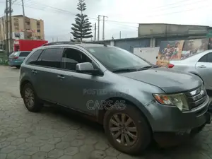 Ford Edge 2007 Gray