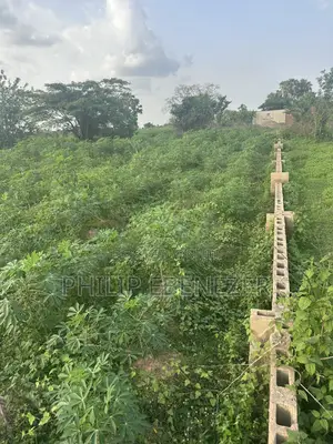 2 Plots of Land for Sell in Igoba, Akure