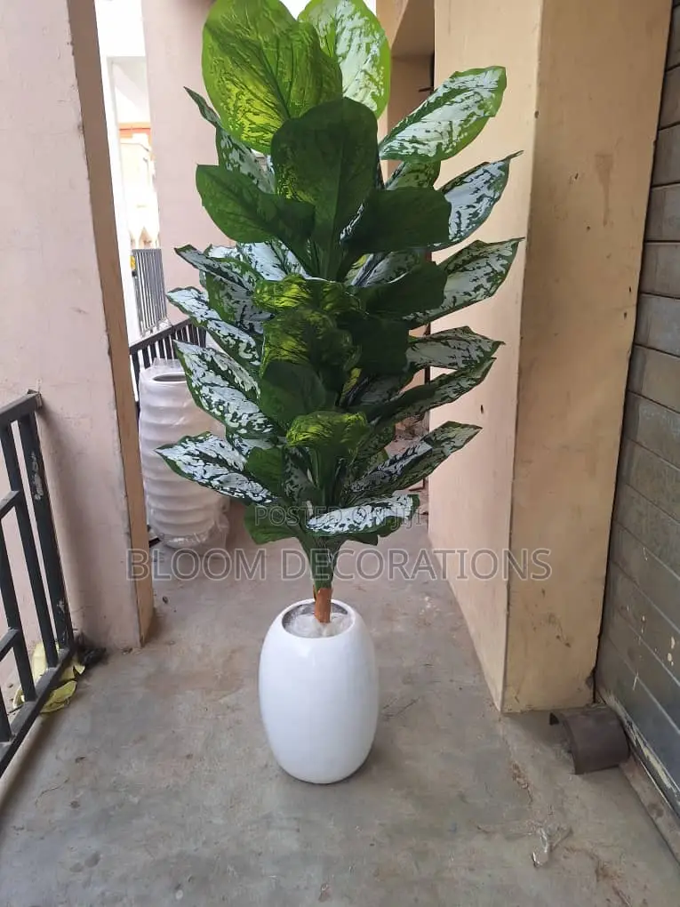 Decorations and Event Planning