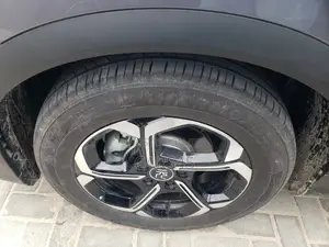 BYD Yuan Plus 2025 Gray