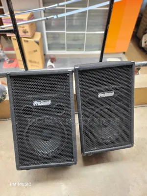 Prosound 10 Speaker