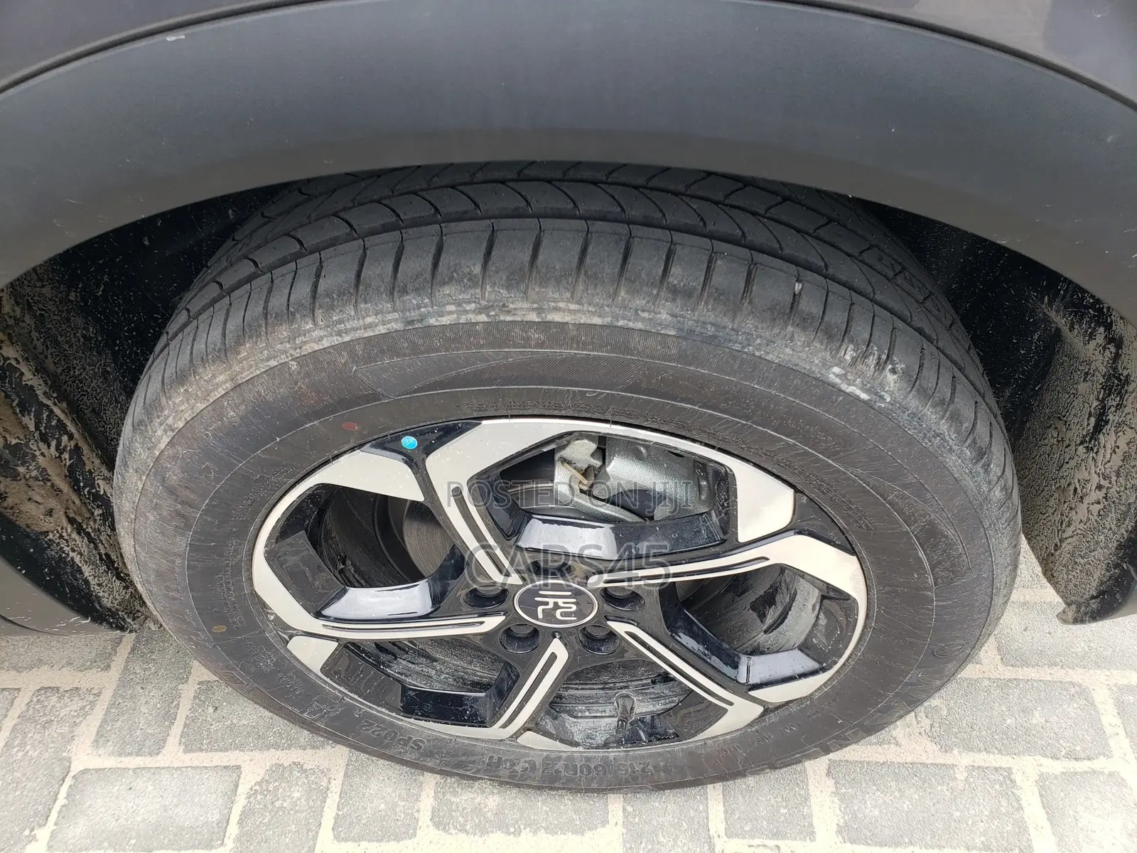 BYD Yuan Plus 2025 Gray
