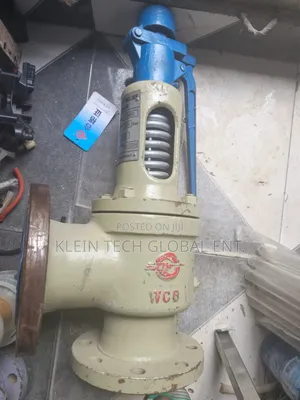 Spring Loaded Safety Relief Valve