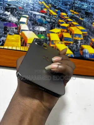 Apple iPhone 13 Pro Max 256 GB Black