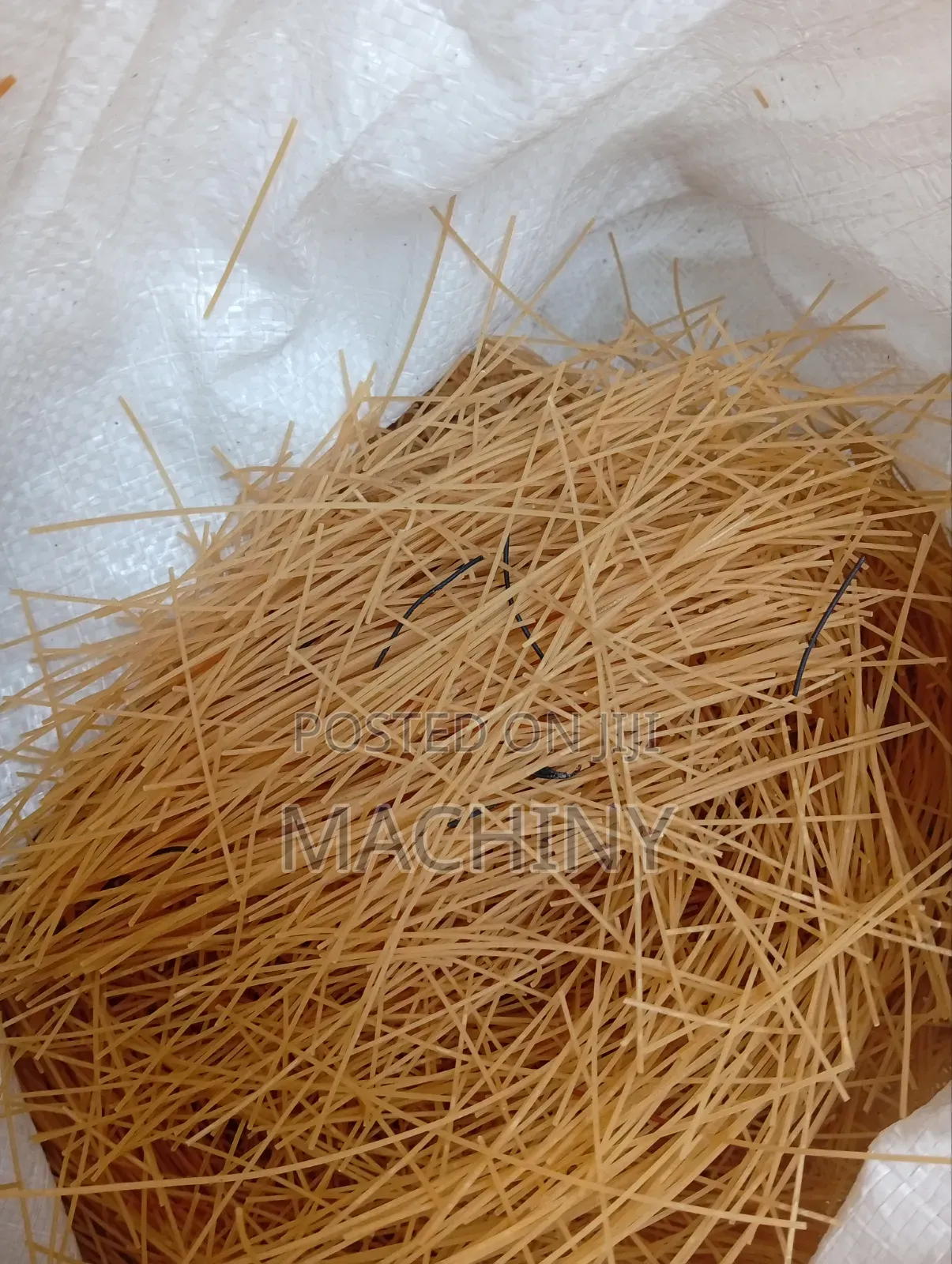 Dog and Cat Spaghetti